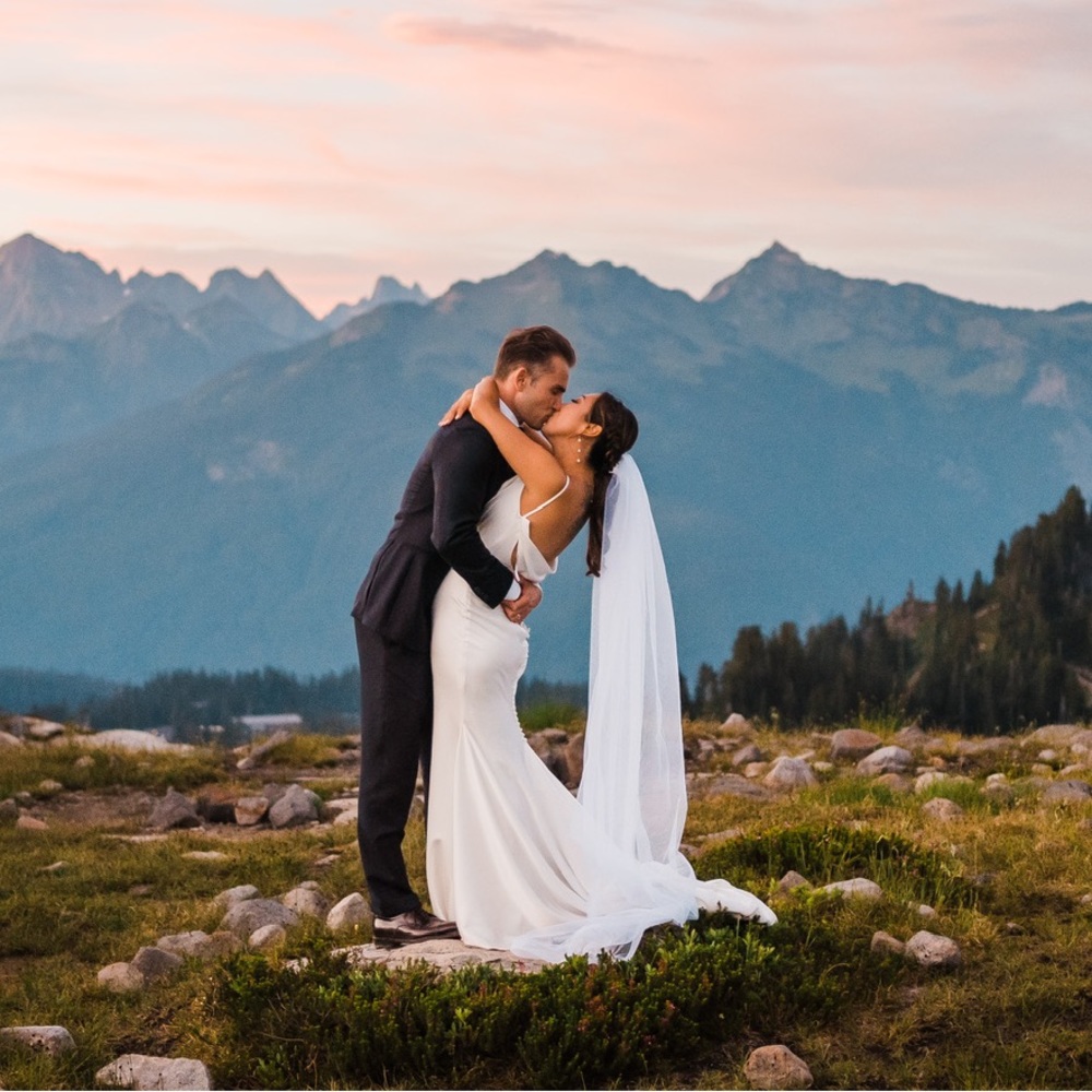 Pronovias Atelier Ribelia Wedding Dress